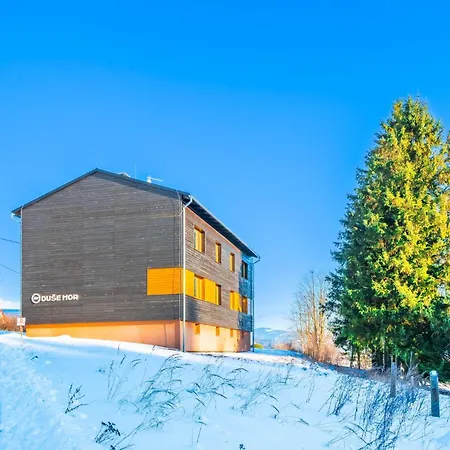 Duse Hor Stribrnice Apartment *
